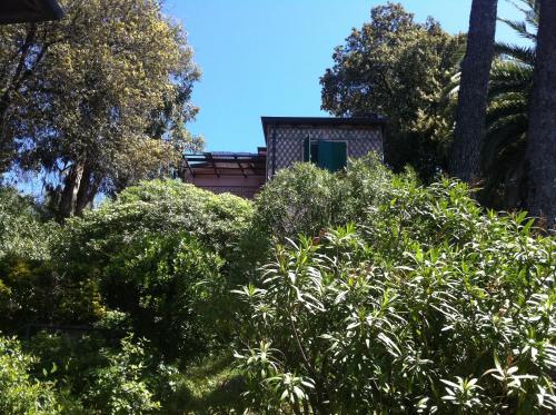 Κήπος έξω από το Villa Tregia