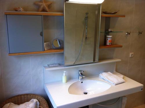 a bathroom with a sink and a shower with a mirror at Apartment Bachmann in Bludenz