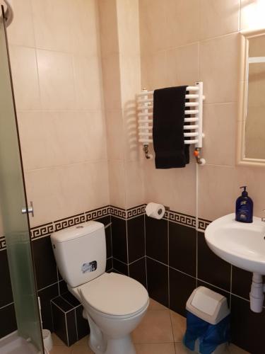 a bathroom with a toilet and a sink at Roadway in Kielce