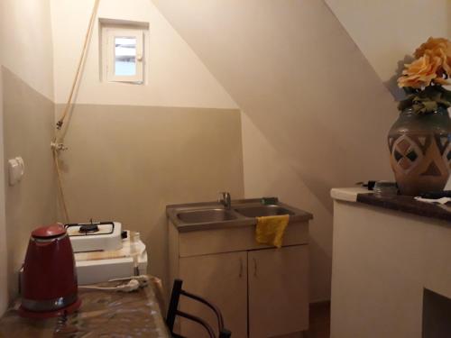 トビリシにあるRati apartmentsのキッチン(シンク、テーブルの上に花瓶付)