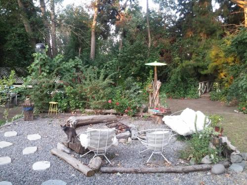 a garden with two chairs and an umbrella at EkoClub in Paine