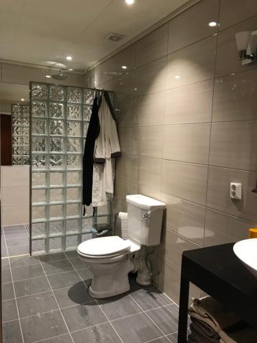 uma casa de banho com um WC e um lavatório em Villa Moldegaard Apartment em Osøyro