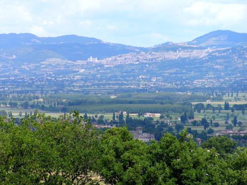 a view of a city from a hill with trees at Genius Loci Country Inn in Bevagna