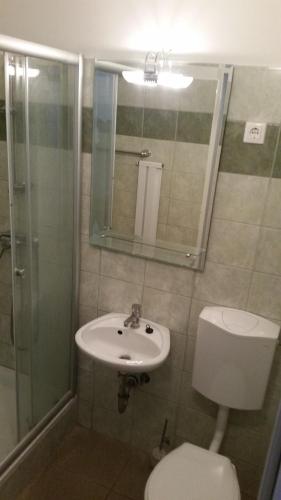 a bathroom with a sink and a toilet and a shower at Báró Eötvös Loránd Menedékház in Pilisszentkereszt