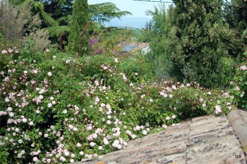 a garden with pink and white flowers on a brick wall at Le Mas des Clots in Upie