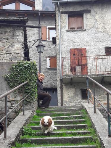 Domácí mazlíčci ubytovaní s hosty v ubytování Foresteria B&B Vecchiascuola Pianazzola