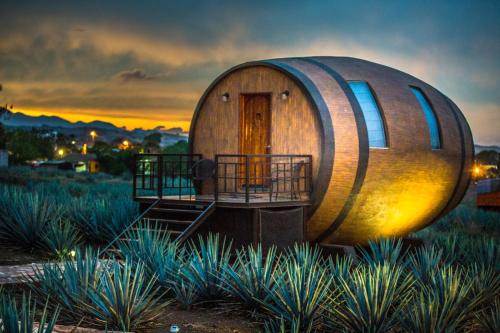 uma casa de barril num campo com um pôr-do-sol em Matices Hotel de Barricas em Tequila