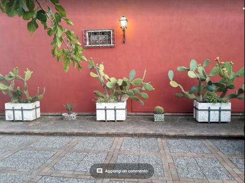 a group of potted plants against a red wall at Villa Chiarenza Maison d'Hotes in Giardini Naxos