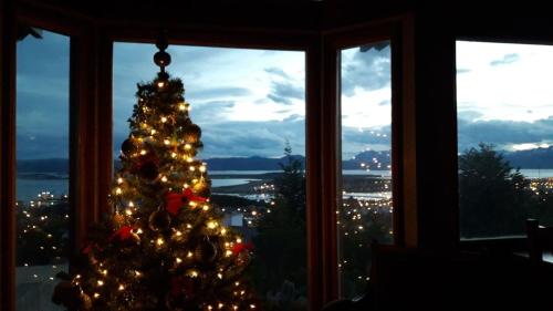 a christmas tree in a room with a window at Ushuaia Lodge in Ushuaia