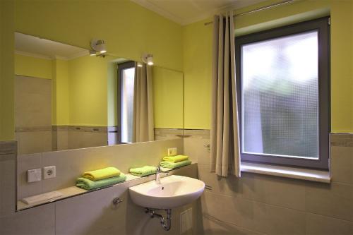 een badkamer met een wastafel en een spiegel bij Auf dem Blumenhof in Heringsdorf