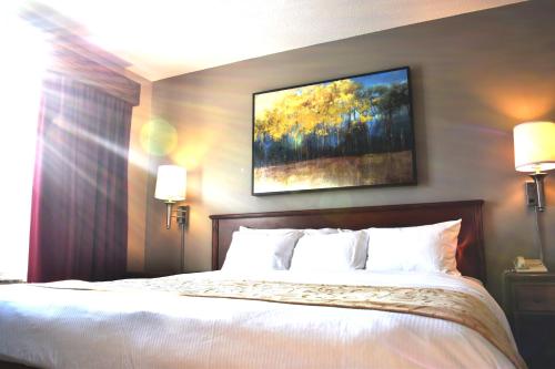 a bedroom with a bed with a painting on the wall at Country Inn River Falls in River Falls
