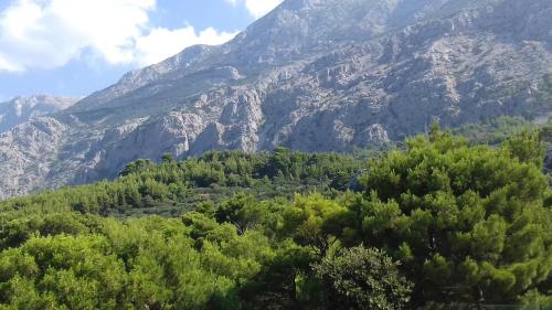 a view of a mountain with trees in front of it at Studio with magic view in Podgora