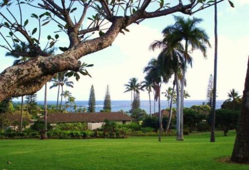 a park with green grass and palm trees and a building at Hana-Maui Resort, a Destination by Hyatt Residence in Hana