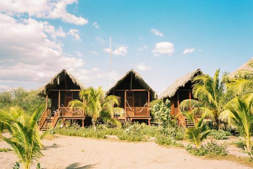 Surfing Turtle Lodge في بونيلويا: مجموعة اكواخ على الشاطئ بها نخيل