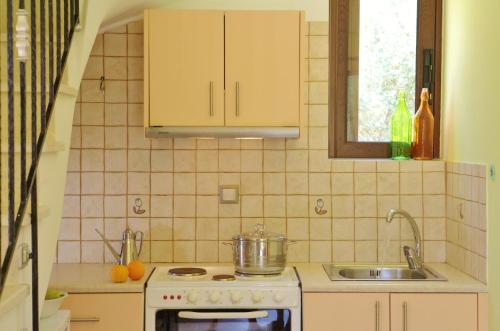 a kitchen with a stove and a sink at Il Viaggio Verde in Vasiliki