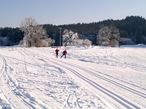 two people cross country skiing in a snow covered field at Pension Pirkdorfer See in Sankt Michael ob Bleiburg