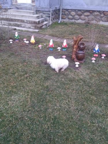 a group of toy animals sitting in the grass at Vila la Izvorul Putinei in Haţeg