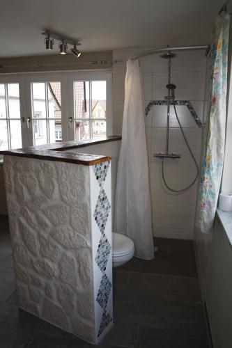 a bathroom with a shower and a toilet in it at Gemütliche Gästezimmer in einem neu sanierten Fachwerkhaus in Sachsenheim