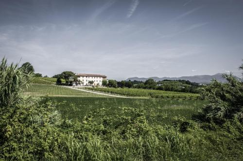 a house on a hill with a field of grass at Terre Boscaratto in Susegana