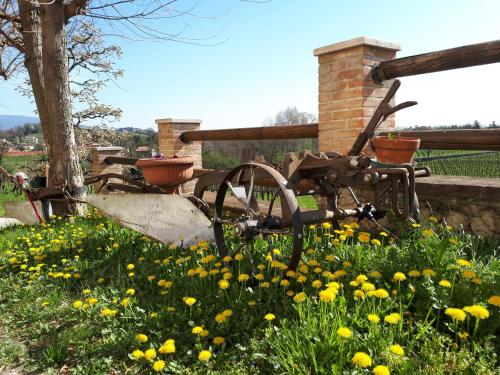 a garden with yellow flowers in front of a bench at Terre Boscaratto in Susegana
