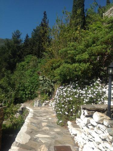 a stone path with white flowers and a street light at Valeondades in Valeontádes