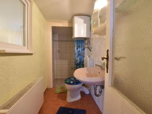 ボルテンハーゲンにあるCozy Apartment in Boltenhagen Germany near Beachの小さなバスルーム(トイレ、シンク付)