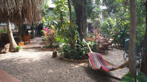 a hammock in the middle of a garden with plants at Mut Mee Garden Guest House in Nong Khai