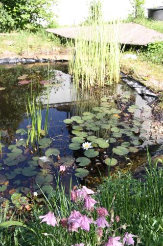 a pond with lily pads and flowers in a garden at Gemütliche Gästezimmer in einem neu sanierten Fachwerkhaus in Sachsenheim