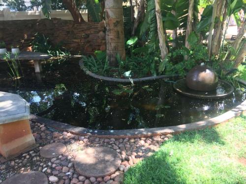 a koi pond in a garden at The Doors Inn in Mokopane