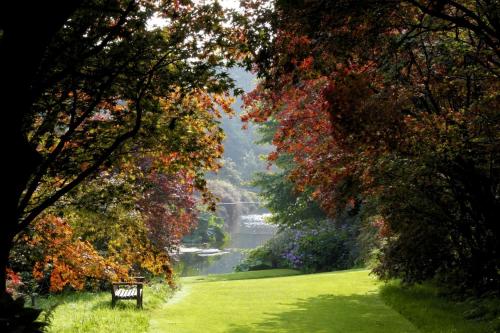 a bench sitting in the middle of a park with trees at Brittas Bay Holiday Village No 32 by Trident Holiday Homes in Brittas Bay