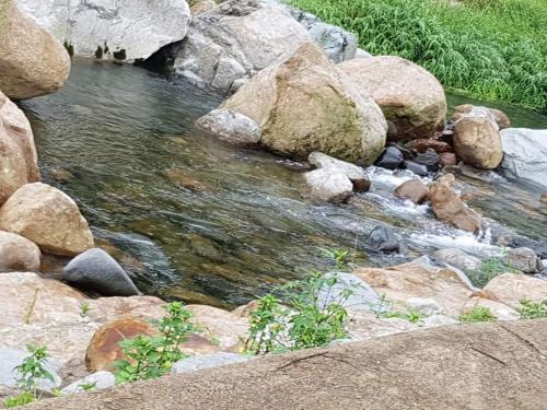 a stream of water with large rocks andgrass at Green Valley in Sancheong