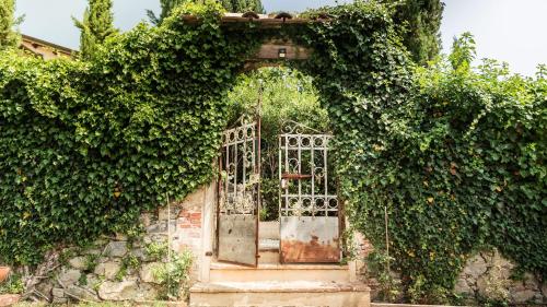 an open door in an ivy covered building at Rustico Dora in Camaiore
