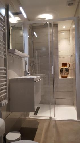 une salle de bain avec une douche, un lavabo et des toilettes dans l'établissement Moulin de Chappes, à Chappes