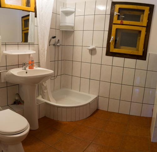 a bathroom with a toilet and a sink and a tub at Rustic House in Stana de Vale