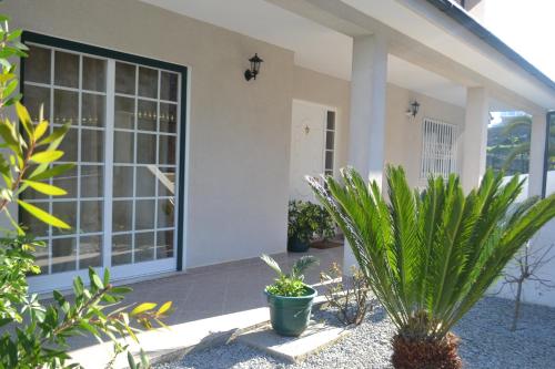 a house with plants in front of it at Vila Teixeira in Amarante
