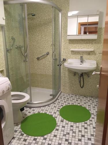 a bathroom with a shower toilet and a sink at Landhaus Düngenheim in Düngenheim