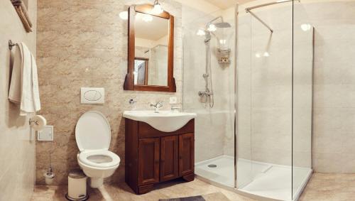 a bathroom with a toilet and a sink and a shower at Cozy Apartment in Braşov