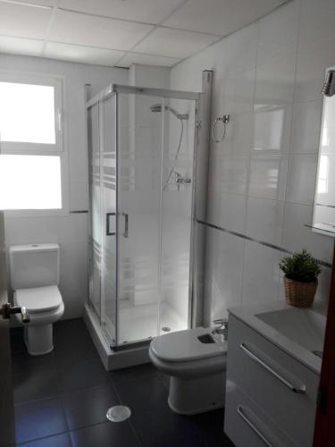 a bathroom with a shower and a toilet and a sink at Cozy Loft Torremolinos in Torremolinos