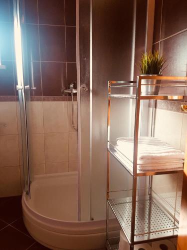 a bathroom with a shower with a toilet and a chair at Apartments Daniela in Korčula
