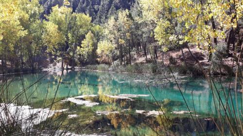 オルノスにあるCasas Rurales La Loma Del Carrascalの森の中のエメラルドグリーンの水