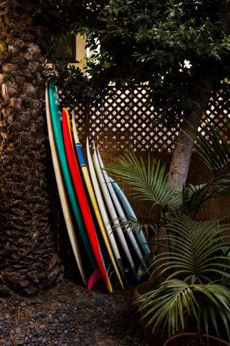 The Venice Beach House photo 48