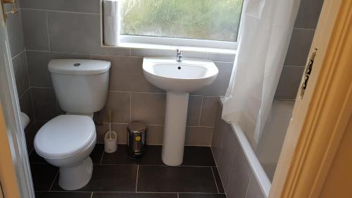 a bathroom with a toilet and a sink and a window at Elegant and spacious 2 bedroom in Barnet