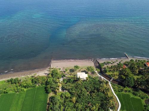 an aerial view of a beach and the ocean at Brits Resort Lovina in Lovina