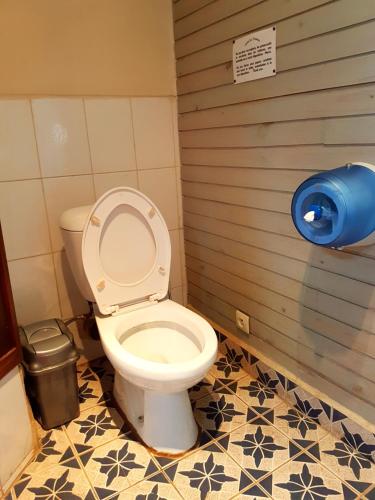 a bathroom with a toilet with a blue trash can at Hotel le Trianon in Antsirabe