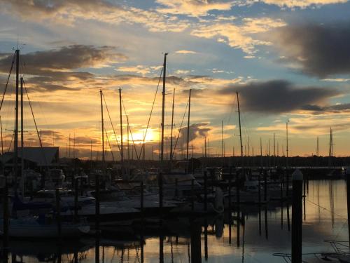a group of boats docked in a harbor at sunset at Amber Homes in Auckland