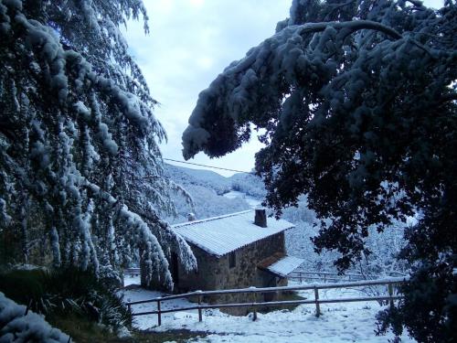 a house covered in snow next to some trees at Mas Pardas in Santa Pau