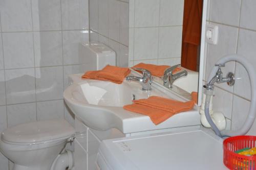 ein Badezimmer mit einem weißen Waschbecken und einem WC in der Unterkunft Ferienwohnung Römerbrücke in Trier