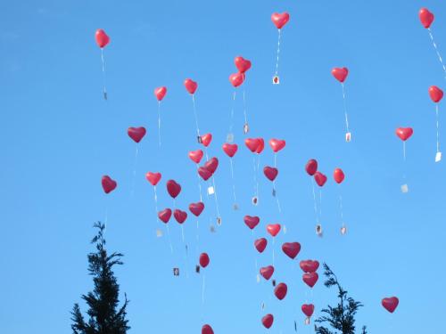 a group of hearts balloons flying in the sky at Best Western Premier Seehotel Krautkrämer in Münster