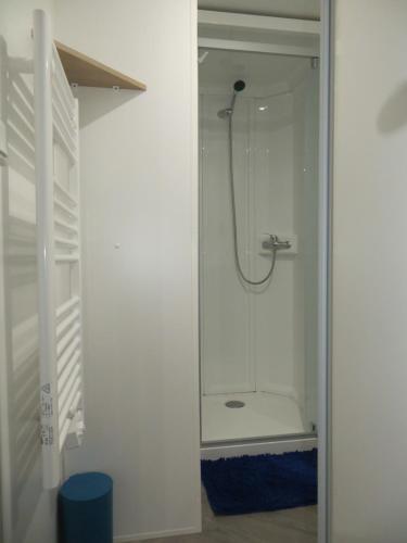 a shower in a white bathroom with a glass door at Hebergement dans un Domaine à Litteau in Litteau