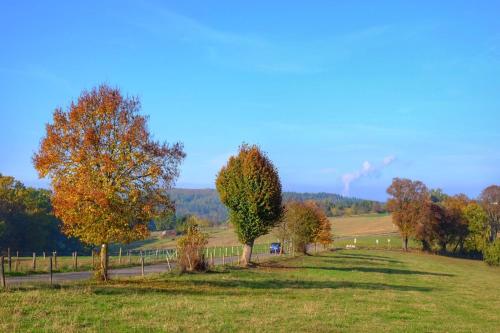 a group of trees in a field next to a road at Altstadt Blieskastel, Gerbergasse in Blieskastel